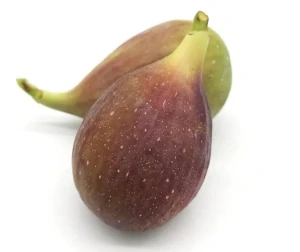 Peretta® FÍKOVNÍK SMOKVOŇ