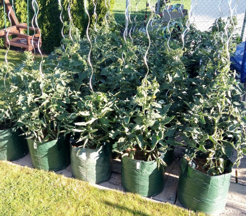PLANTINBAG 15 l